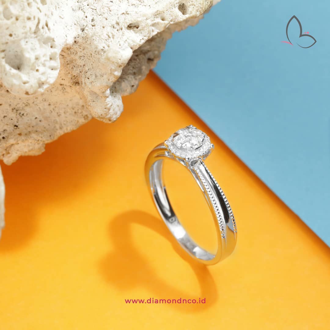 anatomi cincin anatomi cincin