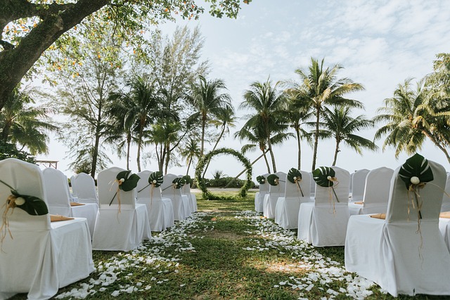 wedding organizer wedding organizer